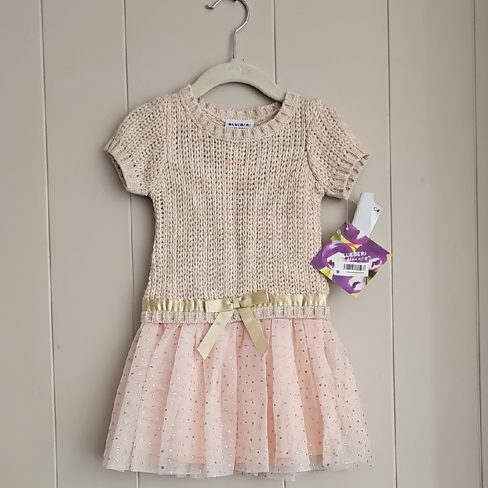 Blueberi Boulevard Cream and Pink Knit Dress Tutu Girls 24m Dress